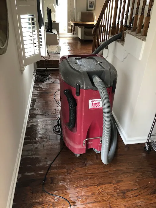 PuroClean Water/Mold/Fire Damage Experts Picture 1