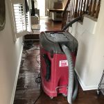 PuroClean Water/Mold/Fire Damage Experts