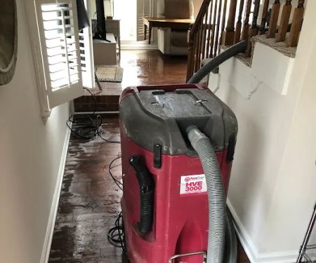 PuroClean Water/Mold/Fire Damage Experts