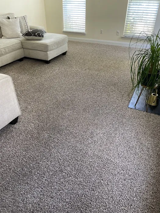 Stanley Steemer Picture 3