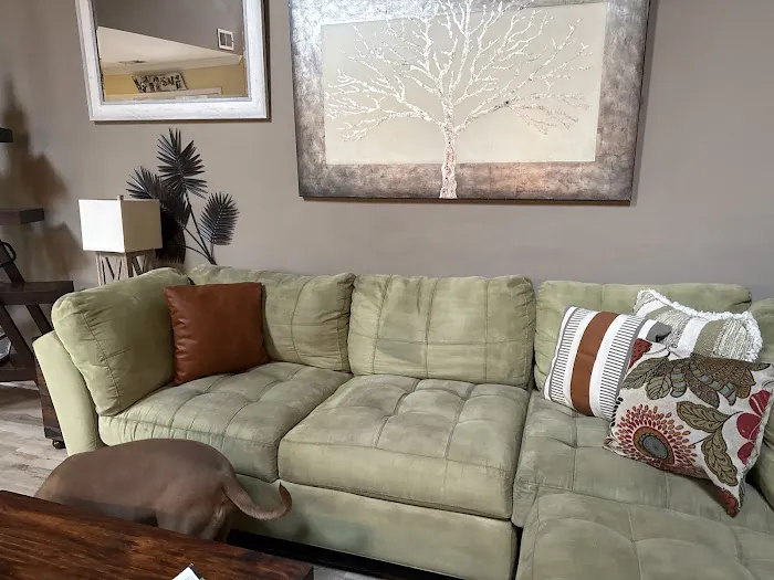 Stanley Steemer Picture 5