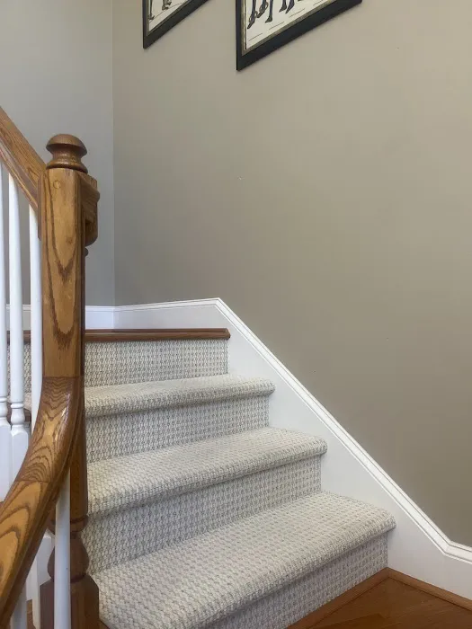 Stanley Steemer Picture 4