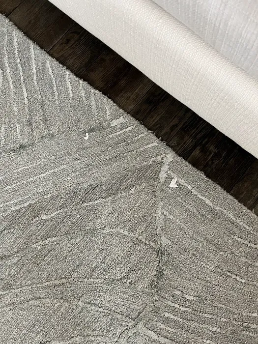 Stanley Steemer Picture 6