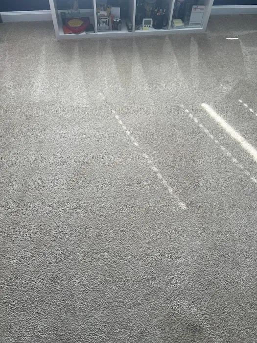 Stanley Steemer Picture 8