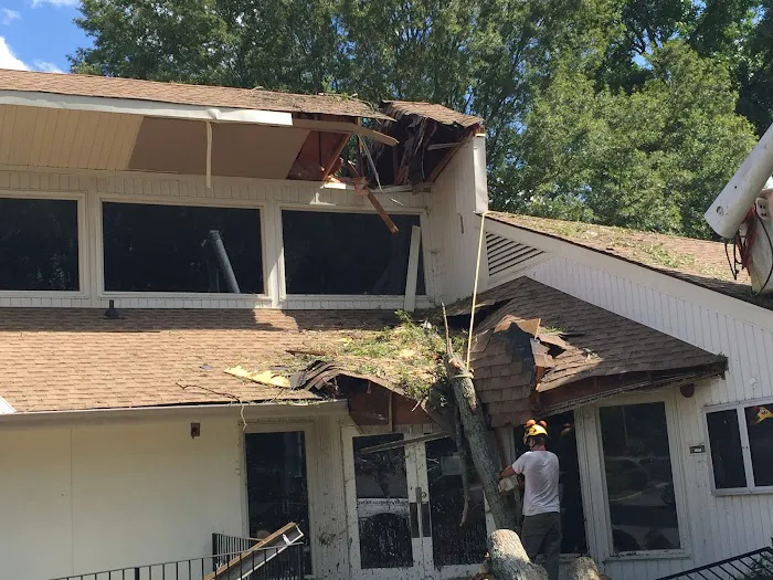 704 Restore Picture 9