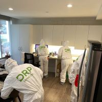 Restoration Pros ico