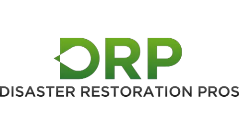 Restoration Pros Picture 8