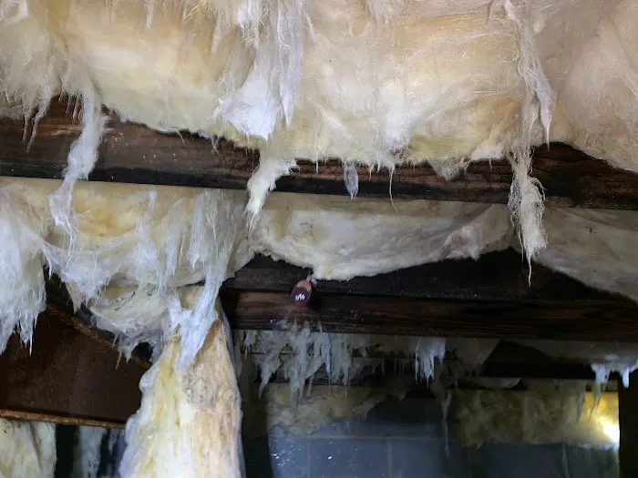 Crawlspace Medic of Charlotte Picture 4