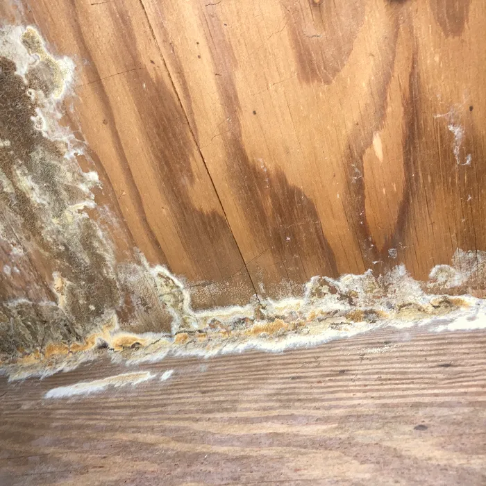 Crawlspace Medic of Charlotte Picture 9