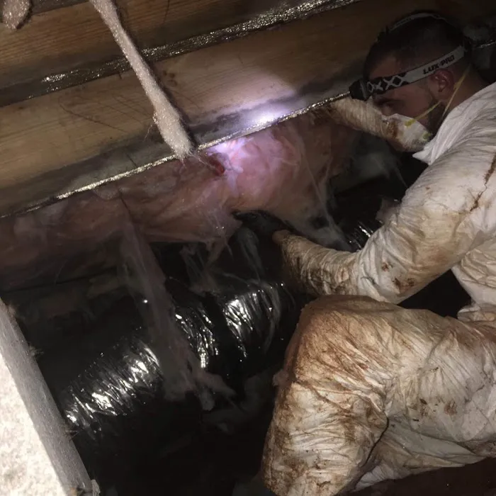 Carolina Water Damage Restoration of Charlotte Picture 10