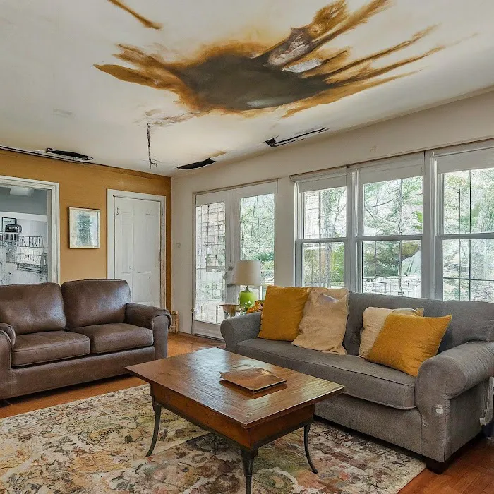 Carolina Pro Restoration LLC Picture 8