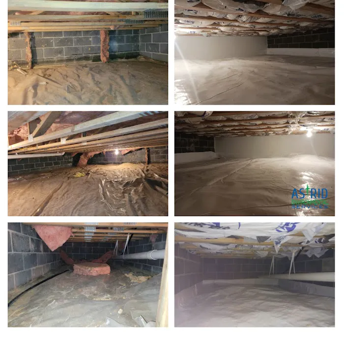 Astrid Environmental Services Picture 5