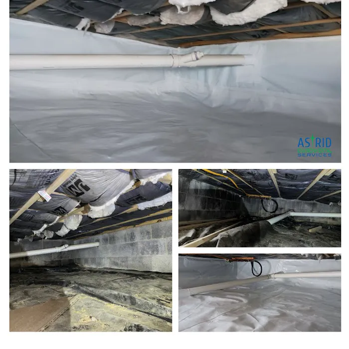 Astrid Environmental Services Picture 4