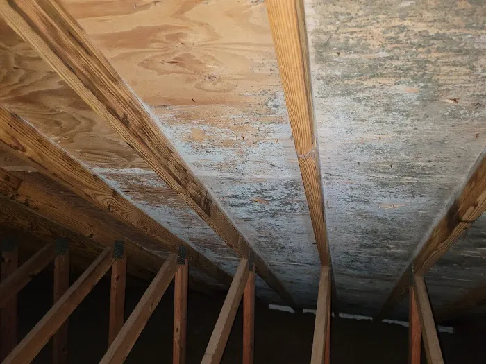 Astrid Environmental Services Picture 10