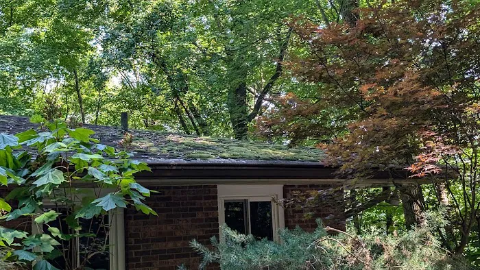 Pisgah Roofing and Restoration Tri-Cities TN Picture 1