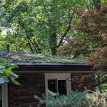 Pisgah Roofing and Restoration Tri-Cities TN