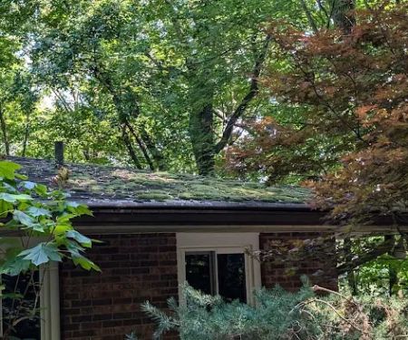 Pisgah Roofing and Restoration Tri-Cities TN