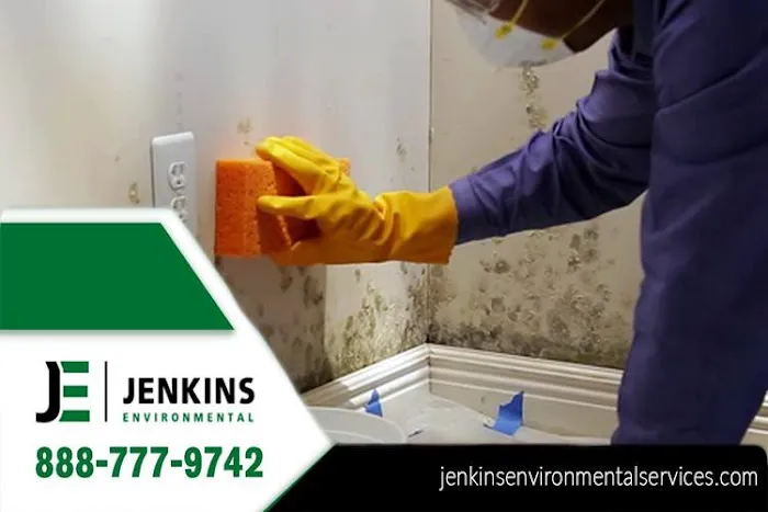 Jenkins Environmental Services Picture 7