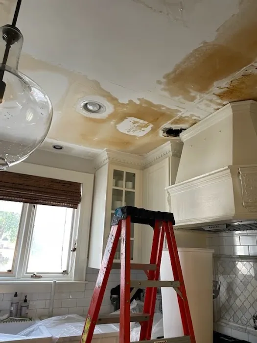 Sunshine Restoration of Charlotte Picture 8