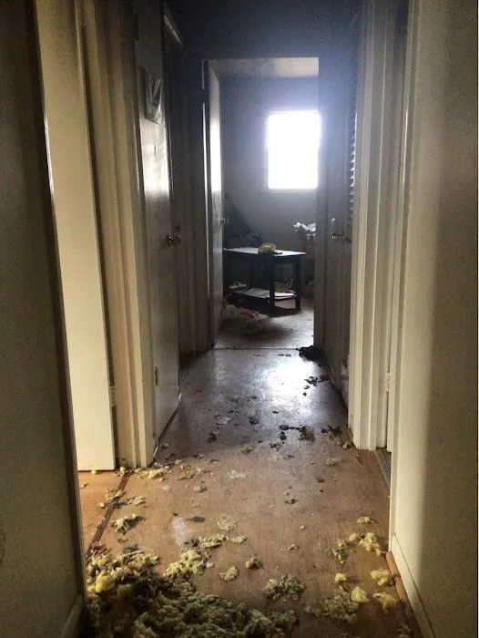 SERVPRO of Indian Land, Cherokee, Union, and Chester Counties Picture 7