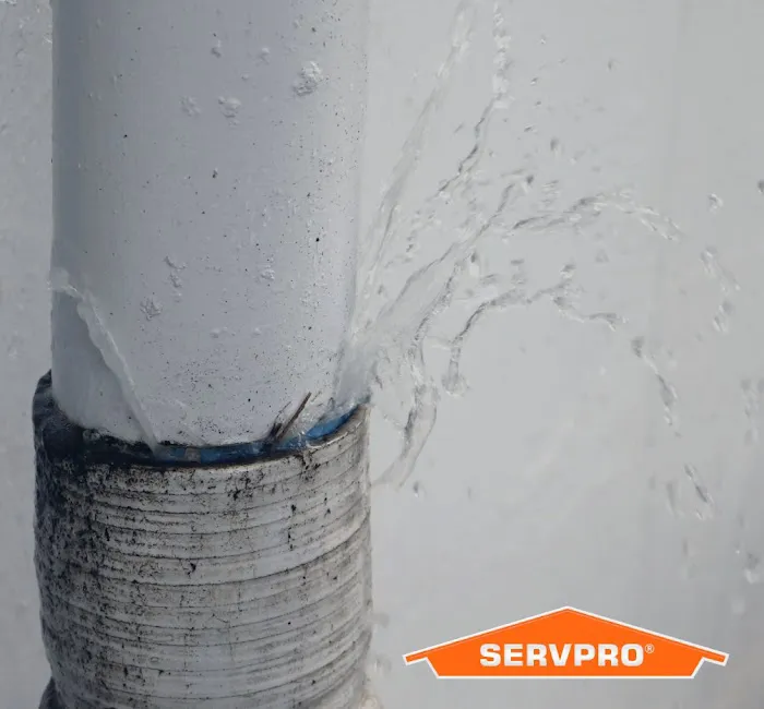SERVPRO of Indian Land, Cherokee, Union, and Chester Counties Picture 6