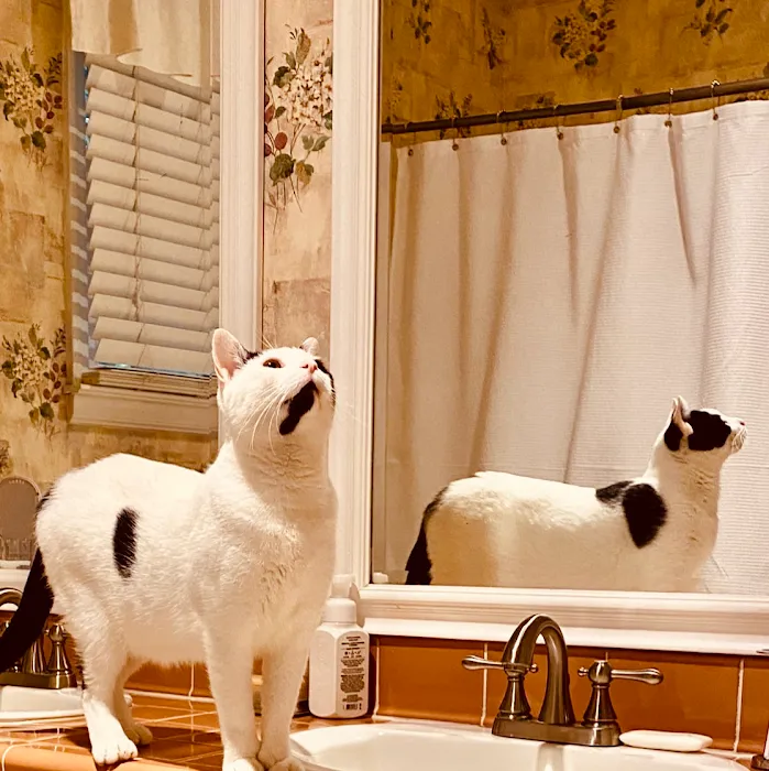 SERVPRO of South Mecklenburg County Picture 10