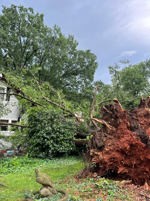 Emergency Response Team LLC Picture 10