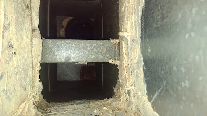 Environmental Cleaning & Restoration Solutions Picture 2