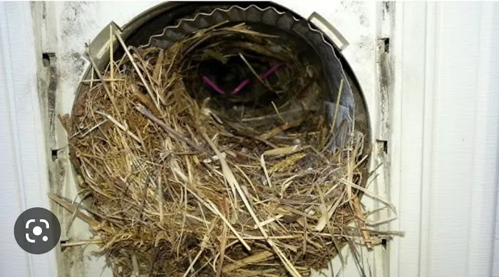 Environmental Cleaning & Restoration Solutions Picture 8