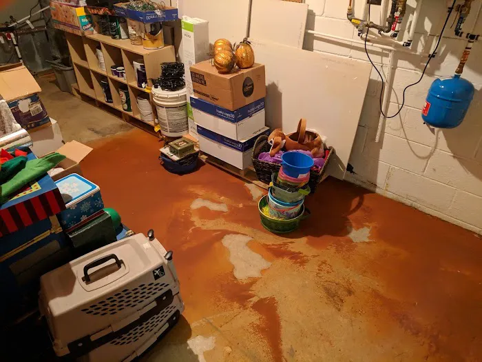 Foundation Doctor Picture 7