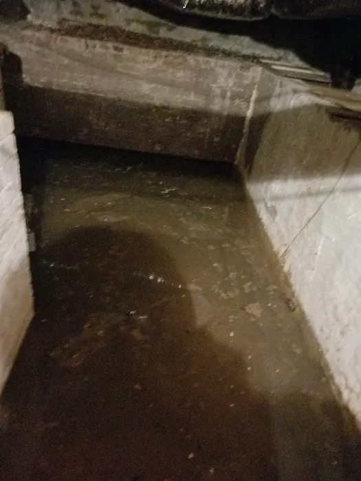 Restoration 1 of Greater Charlotte Picture 6