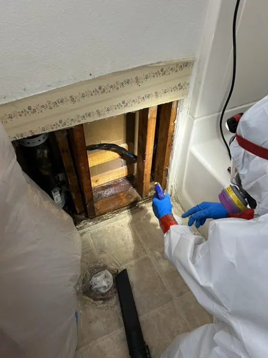 Divine Group Picture 3