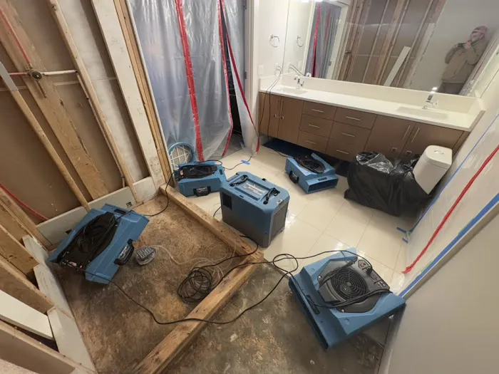 Divine Group Picture 5