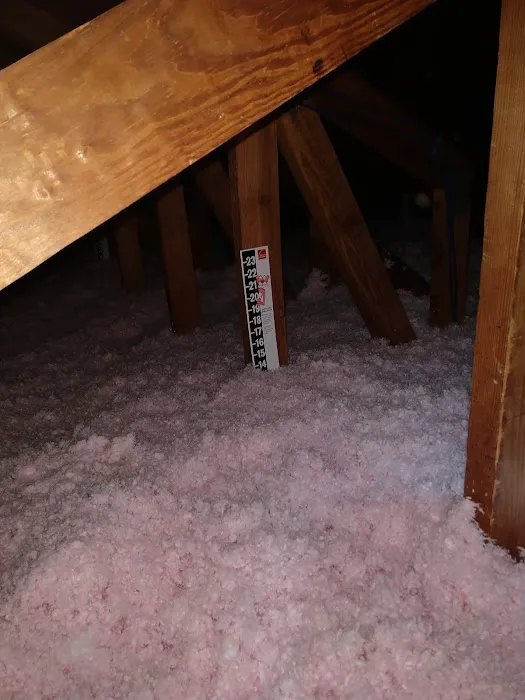 Greenserve Picture 5