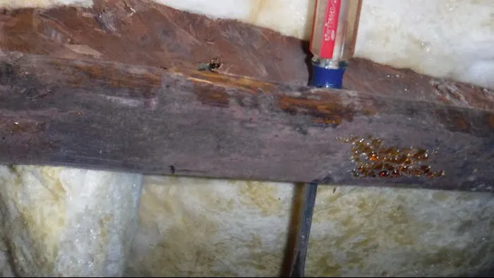 Greenserve Picture 2