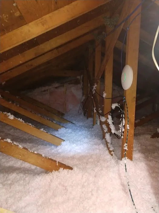 Greenserve Picture 3