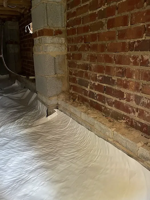 Greenserve Picture 6