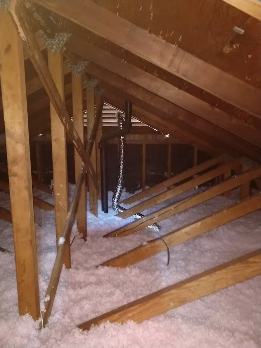 Greenserve Picture 4