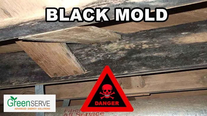 Greenserve Picture 9