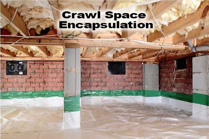 Greenserve Picture 7