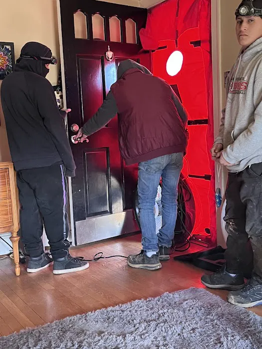 Greenserve Picture 8