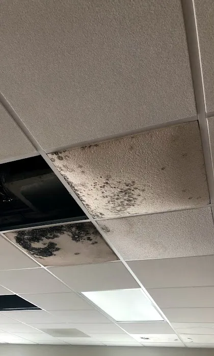 Custom Restoration Picture 6