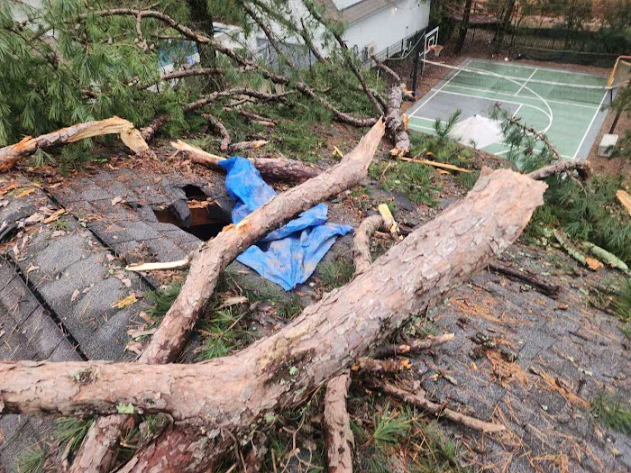 SERVPRO of South Charlotte Picture 8