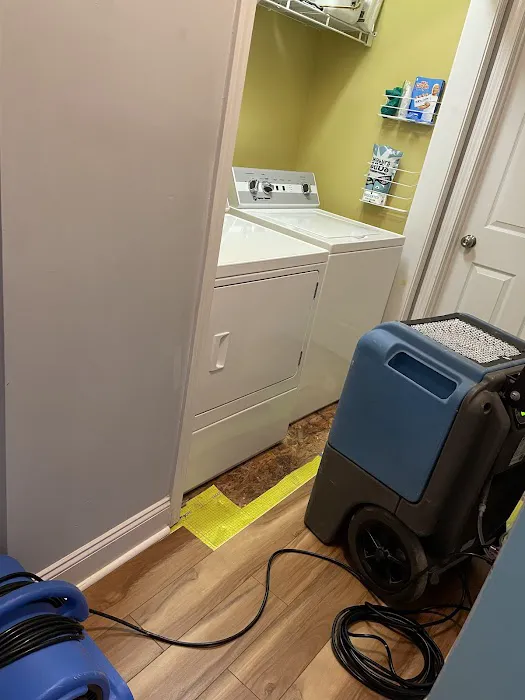 Cardinal Restoration Picture 4