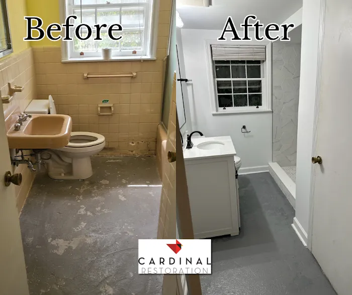 Cardinal Restoration Picture 6