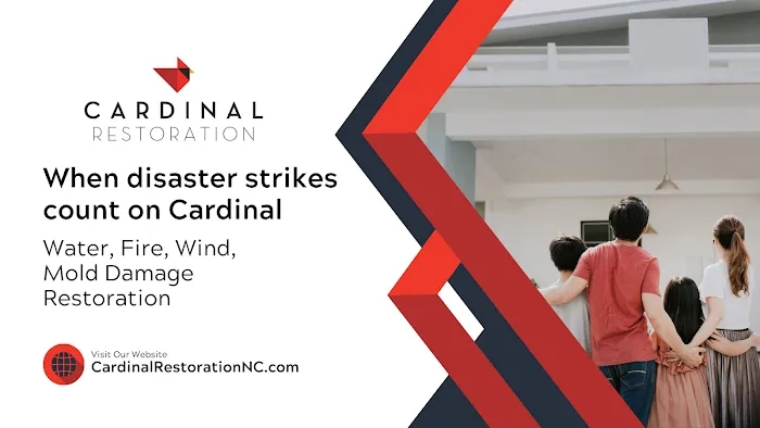 Cardinal Restoration Picture 8