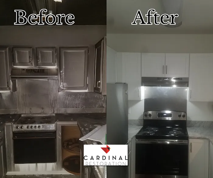 Cardinal Restoration Picture 9