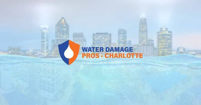 The Water Damage Pros Charlotte Picture 3