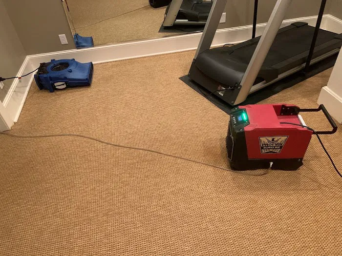 The Water Damage Pros Charlotte Picture 5