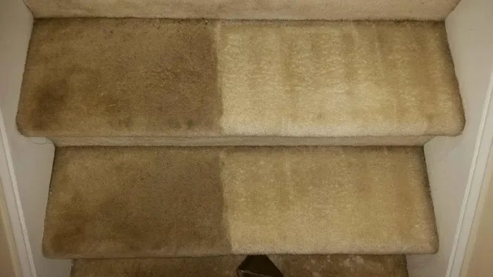 NewGen Restores Inc Picture 10